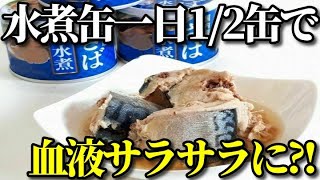 サバの水煮缶を一日1／2缶たべると血液サラサラ、肌の老化防止に？サバの水煮缶の美容・健康効果５選！水煮缶が良い理由とは？