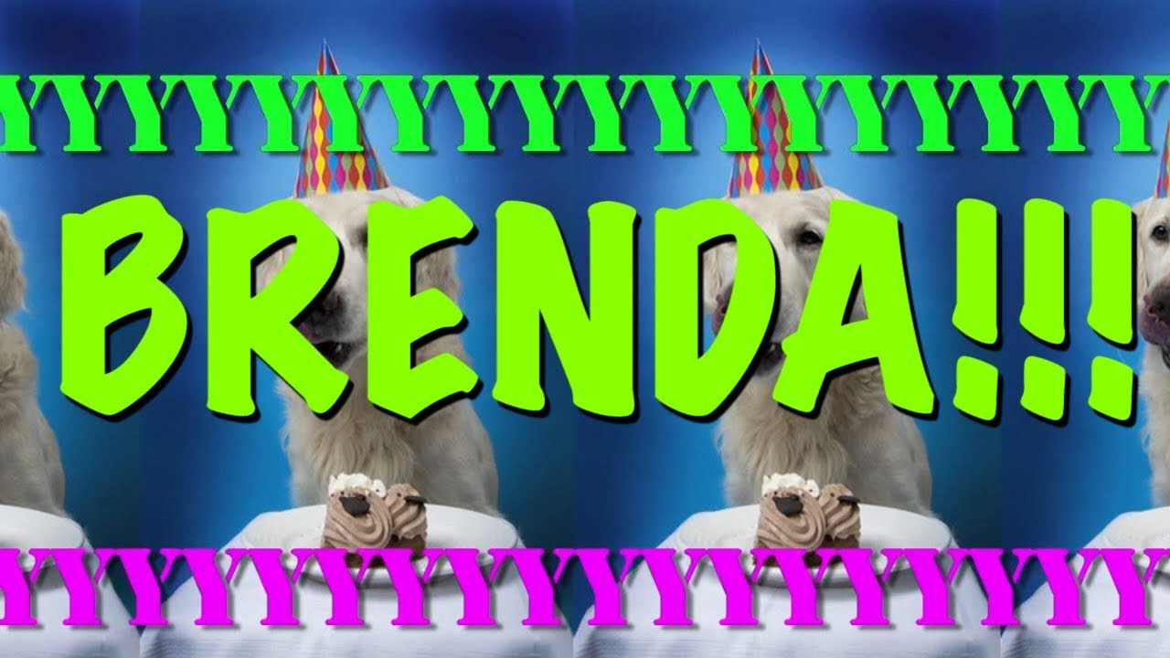 HAPPY BIRTHDAY BRENDA   EPIC Happy Birthday Song