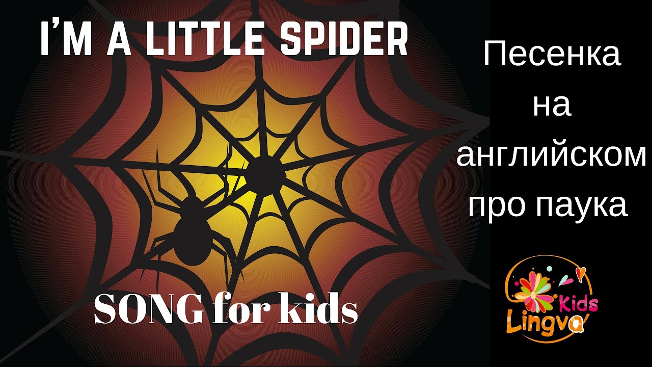 Spider songs. Паук на английском. Песенка про паука. Песенка про паука детская. Песенка про паука на английском.