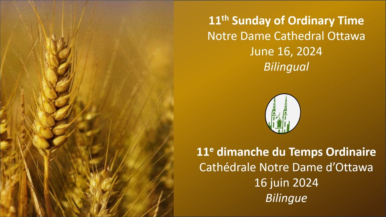 ︎ Notre Dame Ottawa Catholic Mass - 16 June, 2024 - 11th Sunday in ...