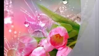 RICHARD CLAYDERMAN   Belle