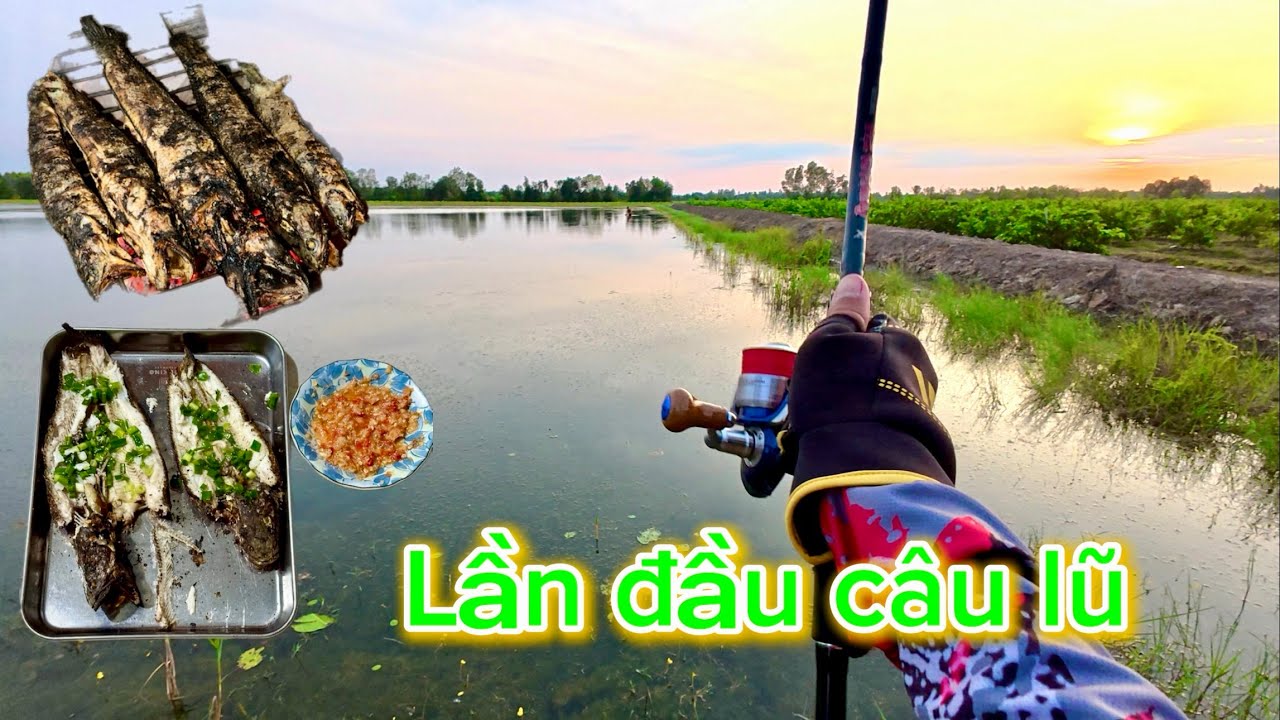 Câu Cá Lóc Tập 14✅ Khu vực biên giới, Maren Thạnh Hoá