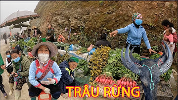 Chợ Phiên Dọc Đường Mộc Mạc Bán Toàn Đặc Sản Núi Rừng | Miền núi tây bắc