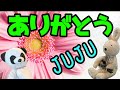 ありがとう JUJU