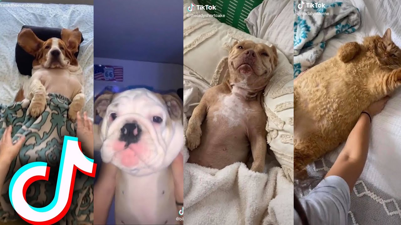 Wakey Wakey It’s Time For School TikTok Compilation