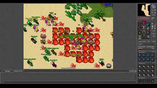 Old Tibia - Aurea War MASSACRE in the Desert - Valhiru (7.6 2006)