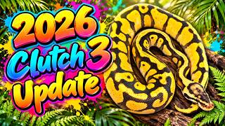 2026 Clutch 3 Update