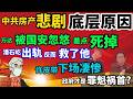 「政经鲁社长」揭秘房价的未来发展趋势和房地产悲剧的底层原因|#政经鲁社长 #鲁社长 #政經魯社長 #魯社長