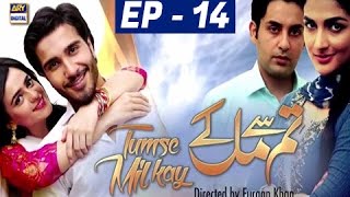 Tumse Mil Kay Episode 14 - ARY Digital