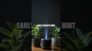 Silent Signals in a Home Plant Growth Experiment
