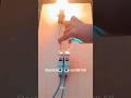 घर को Electrical Shock से कैसे बचाएँ?3 ImportantSafety Devices |Electrical Safety#shorts#ELECTRICIAN
