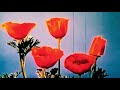 $UICIDEBOY$ TYPE BEAT "ROBBERY"