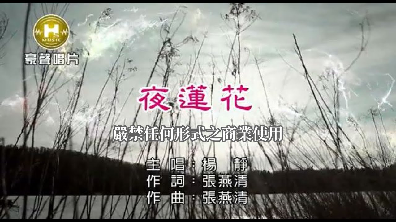 楊靜-夜蓮花【KTV導唱字幕】1080p