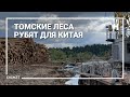 Томские леса рубят для Китая, прикрывшись борьбой с пожарами