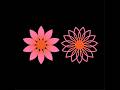 Let's learn easy vector flowers In Adobe Illustrator, flower tutorial part # 1