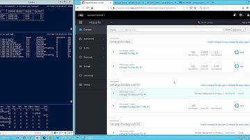 NetApp - Trident : FlexClone