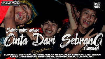 DJ BANTENGAN‼️CINTA DARI SEBRANG (SATRIO PUTRO ARJUNO)remixer @TOMZPROJECT33 