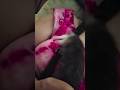 One more slubbing video from Primarily 'Possums