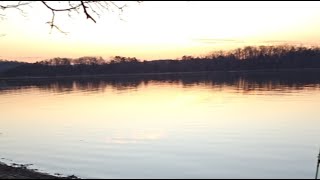 Let's Gooooooooo! Live Catfishing!