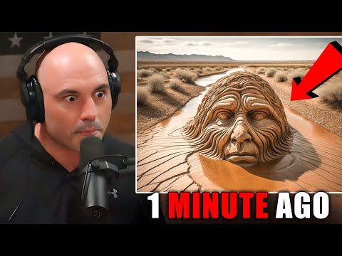 Joe Rogan Reveals