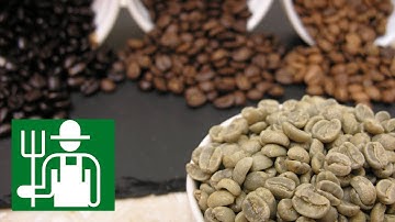 Keto Coffee | Plus Roast Coffee at Home! | Bulletproof No Blender