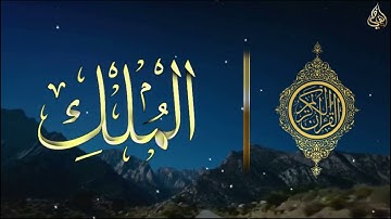 ما تيسر من سورة الملك - أَوَلَمْ يَرَوْا إِلَى الطَّيْرِ فَوْقَهُمْ صَافَّاتٍ... - حسن الفاضلي