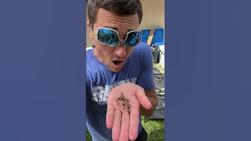 WHEN FISHING GOES WRONG P.3