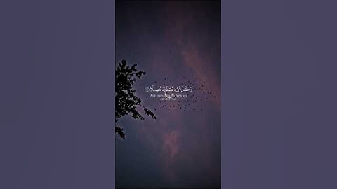 القرآن الكريم ، القارئ ياسر الدوسري #القرآن_الكريم #quran #ياسر_الدوسري