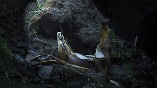 Странники мамонтовой степи. Экспедиция ТВ2 на одно из крупнейших кладбищ мамонтов в Евразии