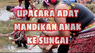 TRADISI UNIK MASYARAKAT DAYAK DESA UMIN MANDIKAN ANAK KE SUNGAI