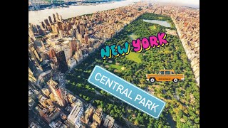 Walk of the day in NY 2021- Central Park