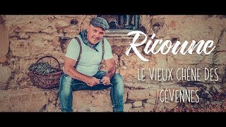 RICOUNE : Le Vieux Chêne Des Cévennes