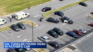 Toddler dies after being left in father's car all day : DA