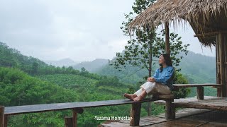 Traveling local homestay in the rain | Nature in the forest @Chiang Mai, Thailand