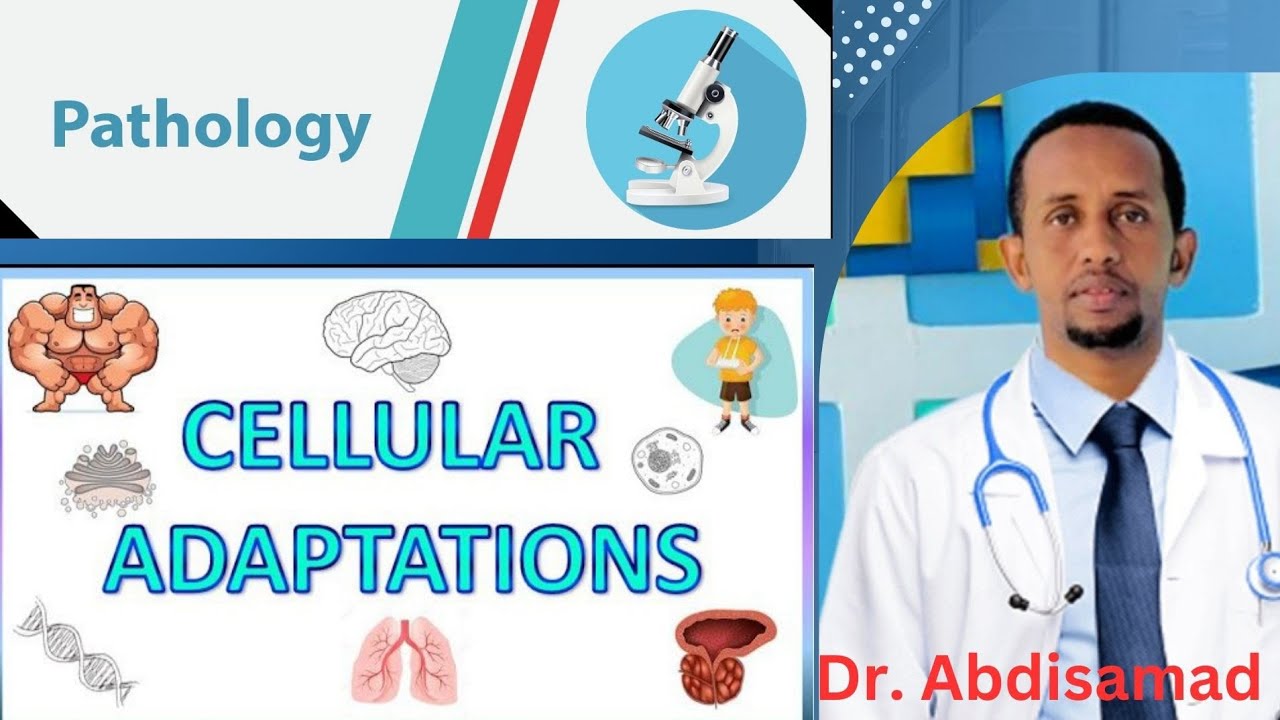 1.2 Cellular Adaptation - YouTube