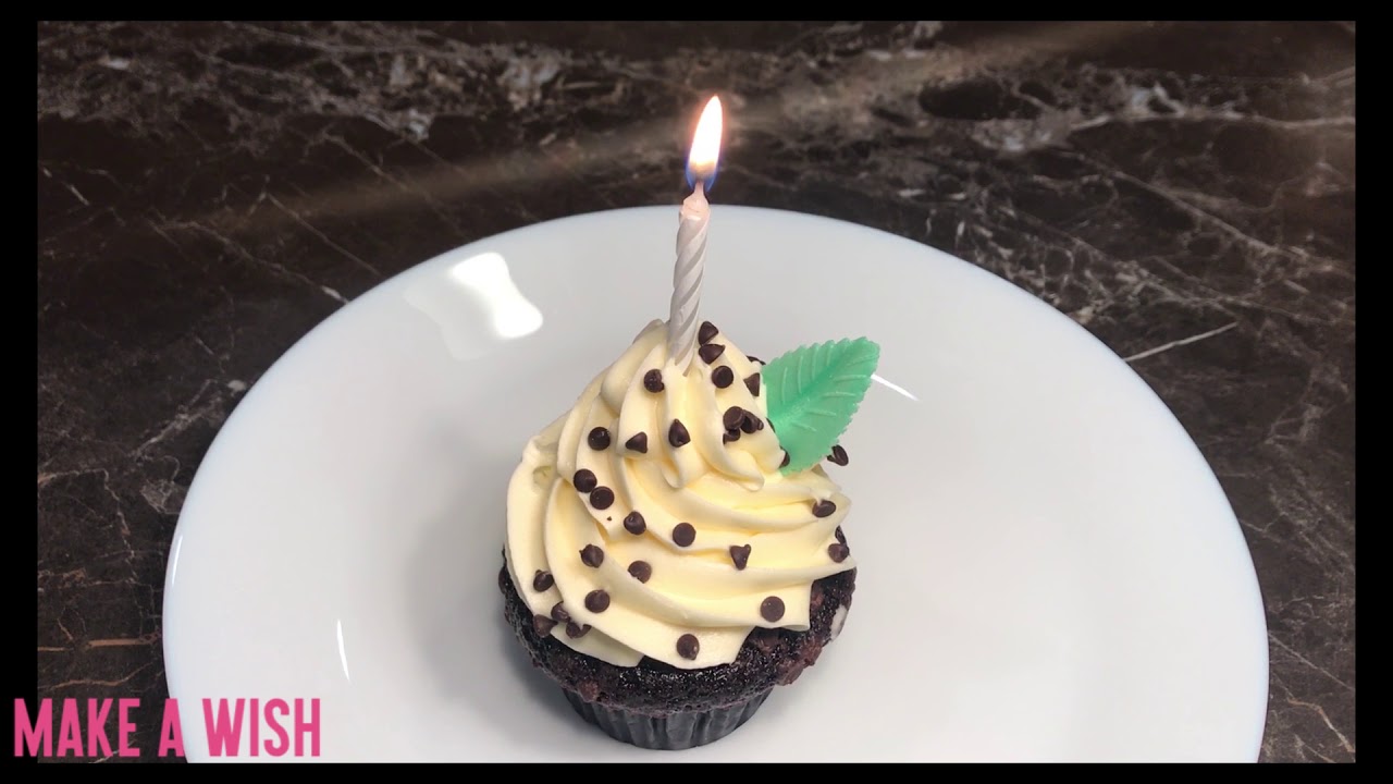National Chocolate Cupcake Day YouTube