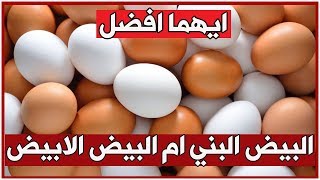 الفرق بين البيض البني والبيض الابيض