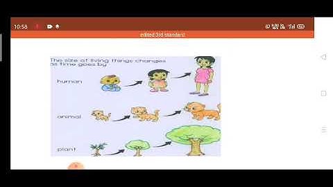 Class 3rd sub EVS Science  Topic Judgment of owl