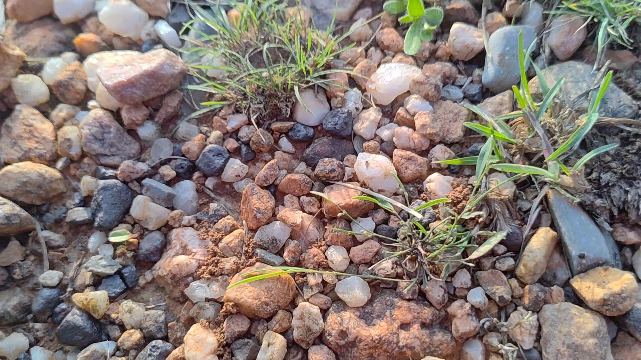 కొత్త లొకేషన్లో దొరికే రాళ్లు చూద్దాం