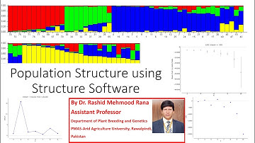 Population Structure Analysis using Structure Software | Easy Tutorial in Urdu | Hindi
