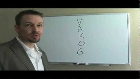 V-A-K-O-G (NLP Practitioner Course) - Dr. Steve G. Jones
