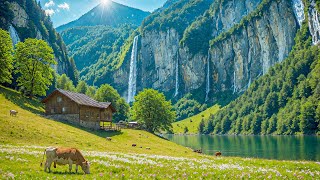 Музыка для расслабления нервной системы 🌿 Забудьте обо всем стрессе и заботах под эти звуки.