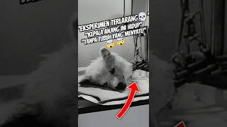 “Sergei Brukhonenko:Eksperimen paling GILA dari Rusia yang Mengubah Dunia Medis!🤯”#faktaunik #shorts