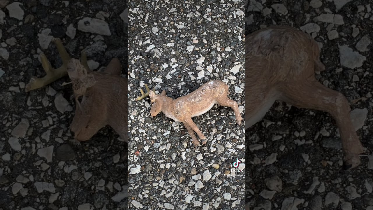 Watch Get Well #deer #toddburge #toddburgeadvice on YouTube Watch Get Well #deer #toddburge #toddburgeadvice on YouTube