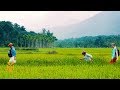 Sustainable Travel in Kerala, India | Positive Footprints | World Nomads