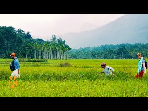 インド、ケララ州の持続可能な旅行|ポジティブな足跡|世界の遊牧民