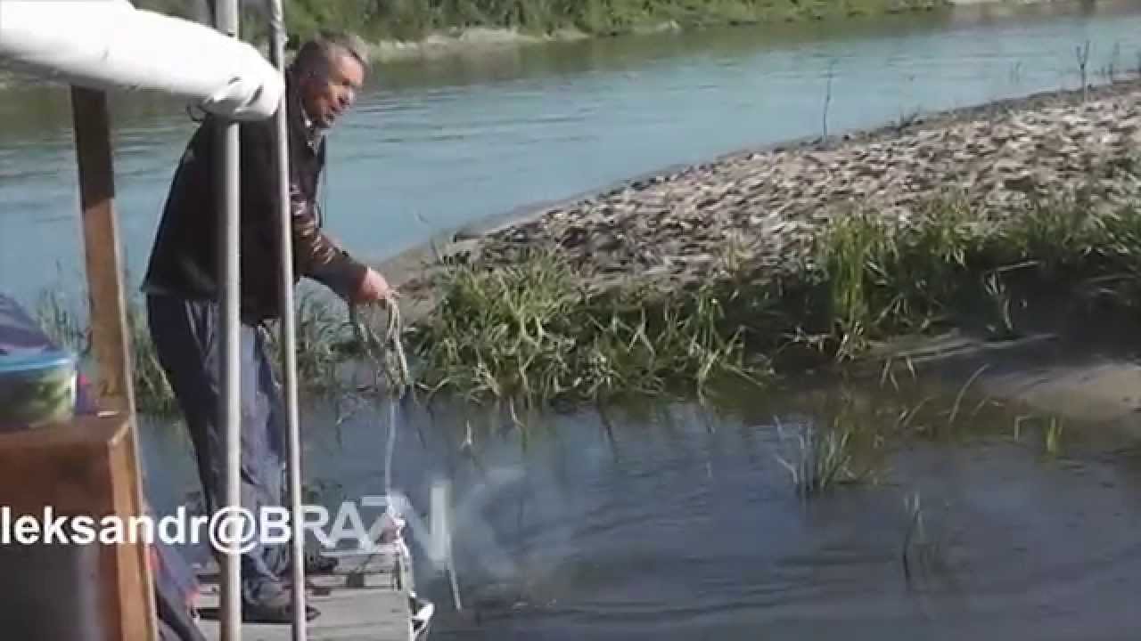 сроки рыбалки на дону