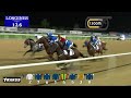 Race 5 - Al Naboodah Commercial Group Trophy
