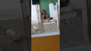 Eis Que Um Bêbado Vê Um Celular Pela Primeira Vez