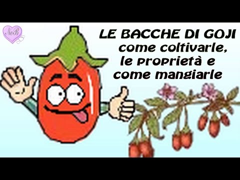 Video: Le bacche degli alberi viandanti sono commestibili?